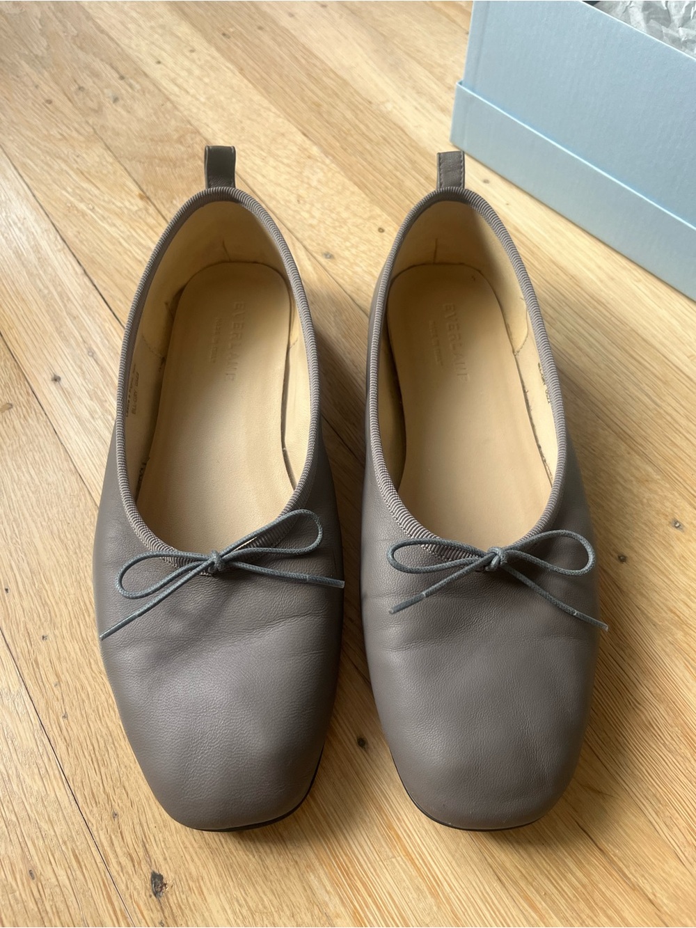Everlane ballet flat with ribbon